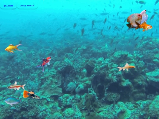 fish screenshot