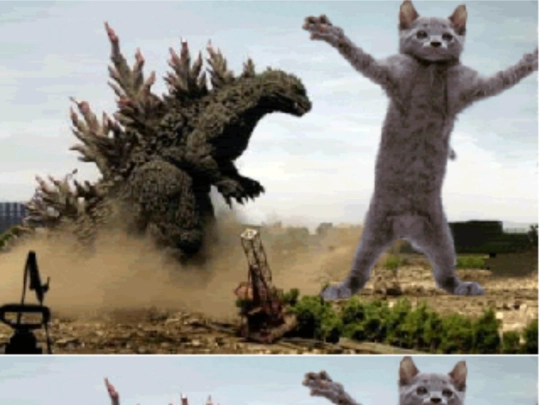 party-cat screenshot