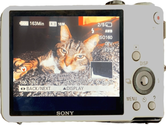 photos screenshot