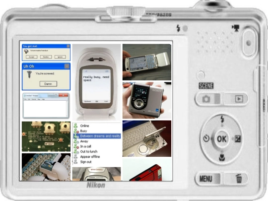 web screenshot