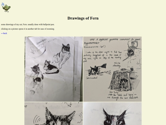 art/drawings of fern screenshot