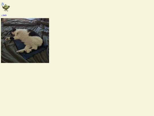firstpages/ufb screenshot