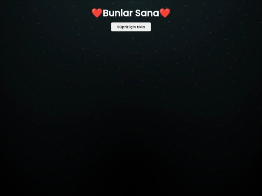 Gizli Sekme screenshot