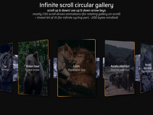 gallery screenshot
