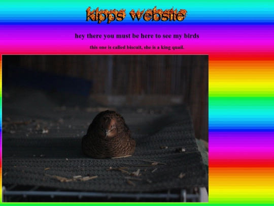 bird screenshot