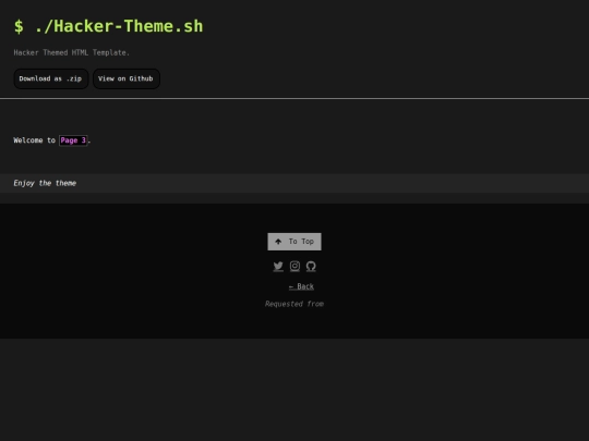 pages/hacker-theme-page3 screenshot
