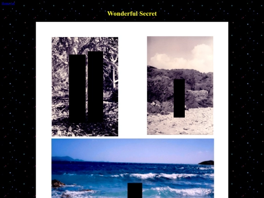 ART/wonderfulsecret screenshot