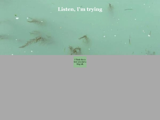 blog screenshot