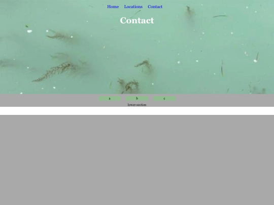 contact screenshot