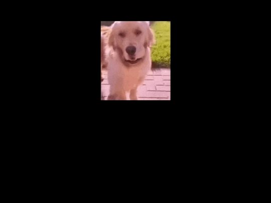 a screenshot