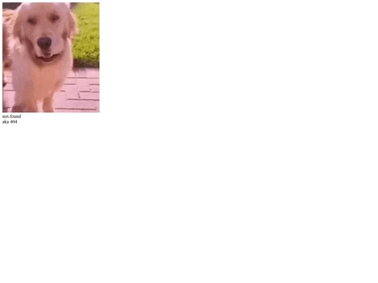 not_found screenshot