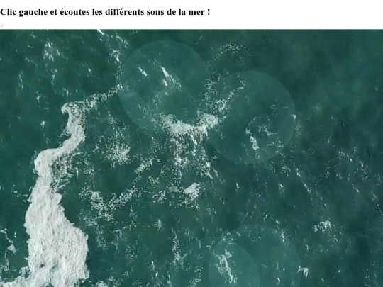 son screenshot
