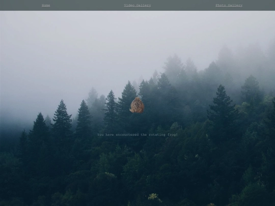 frogSpin screenshot