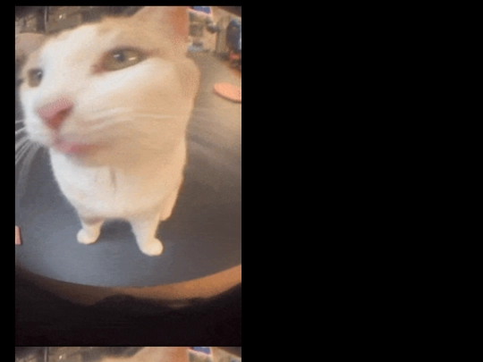 silly screenshot
