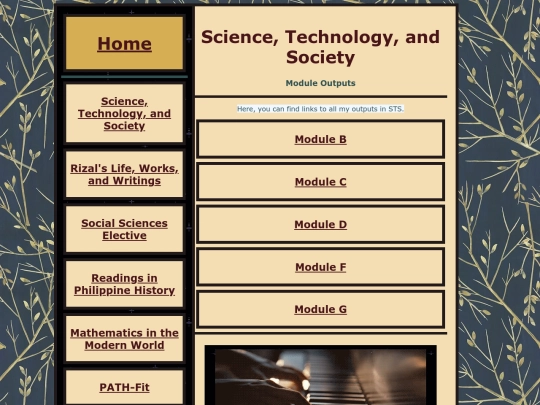 sts screenshot
