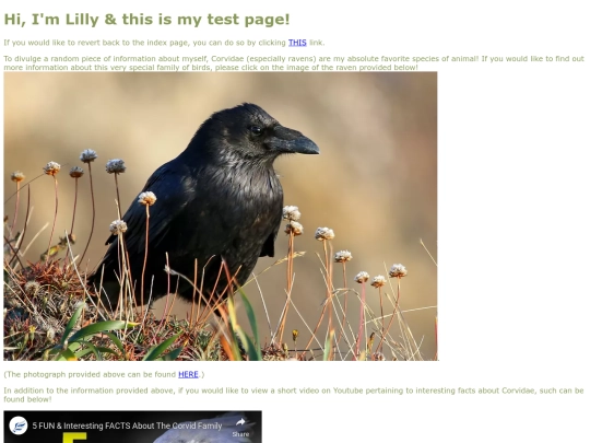 TestPage screenshot