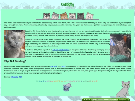 Casskitty screenshot