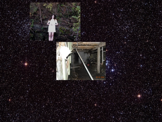photolibrary screenshot