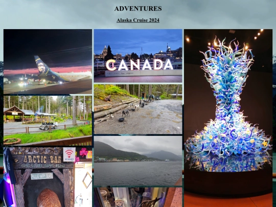 pages/travelers_watch screenshot