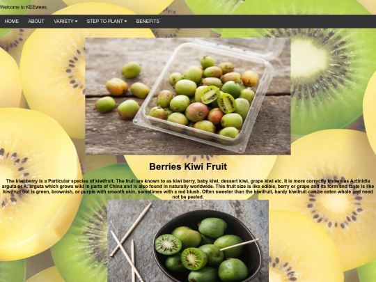 berrieskiwifruit screenshot