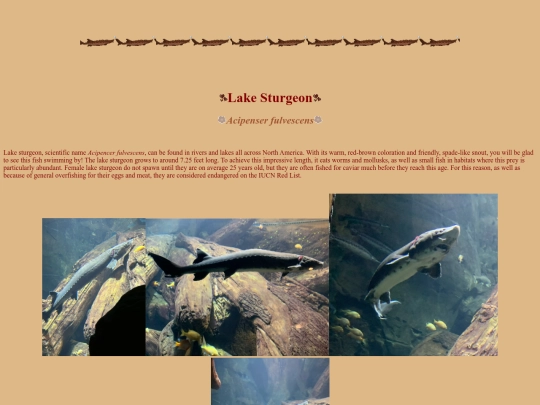 lakesturgeon screenshot