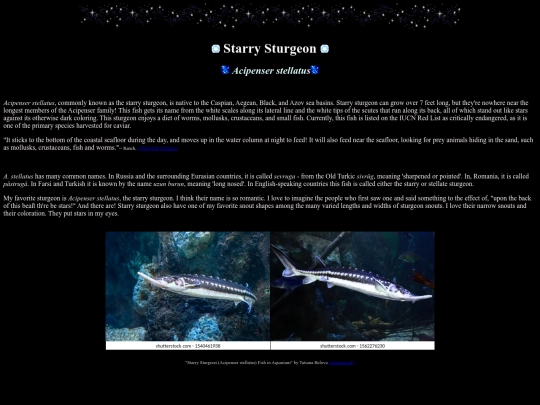 starrysturgeon screenshot