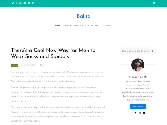 blog-single screenshot