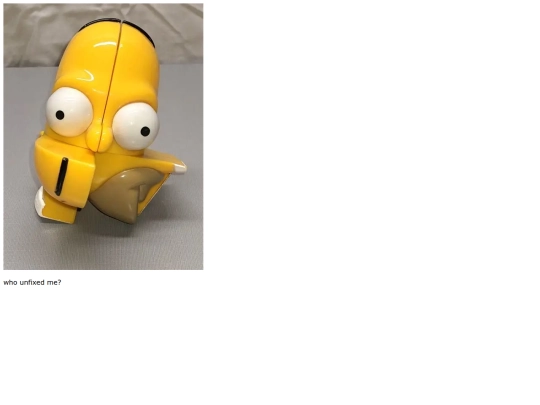 homer screenshot