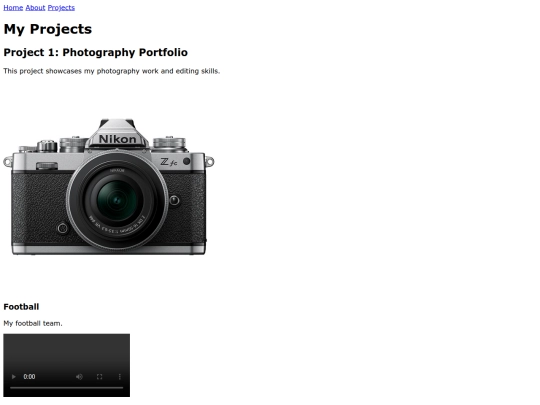 projects screenshot