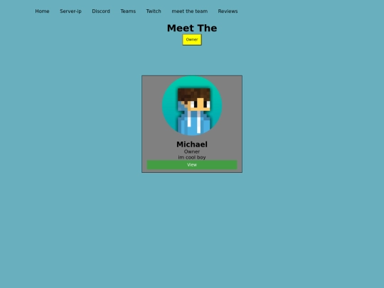 ownerteam screenshot