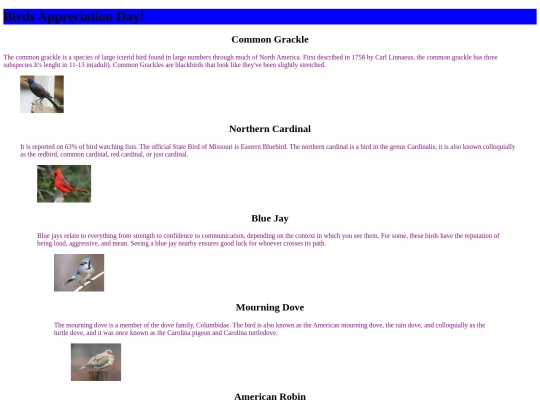 birds screenshot