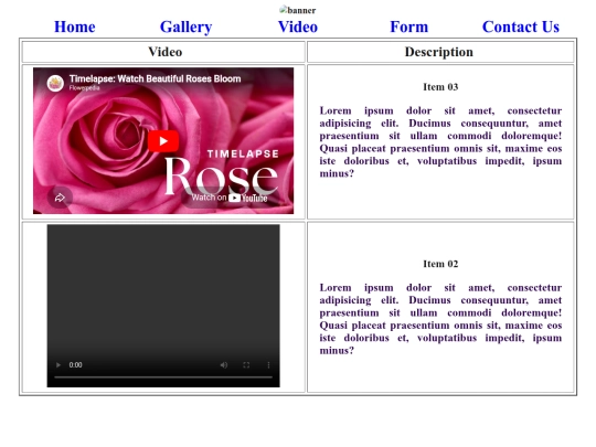 video screenshot