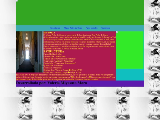 visita screenshot
