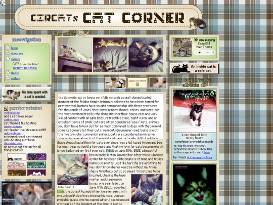 cats screenshot