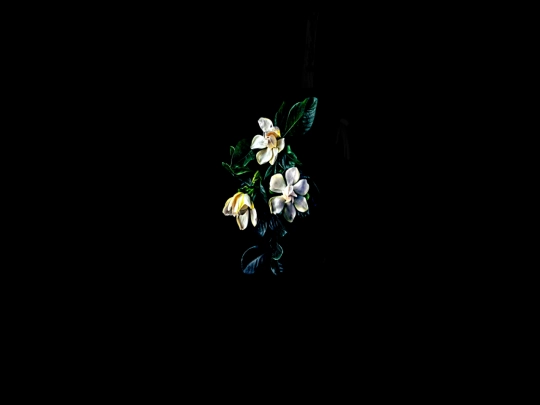gardenia screenshot