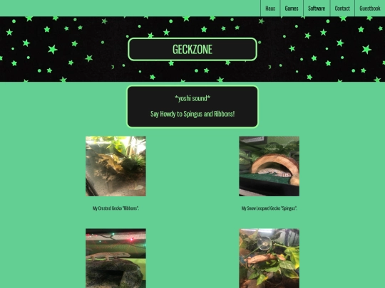 galleries/geckzone screenshot