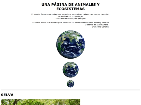 practica5 screenshot