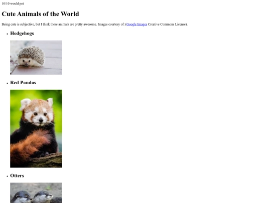 introtohtml screenshot