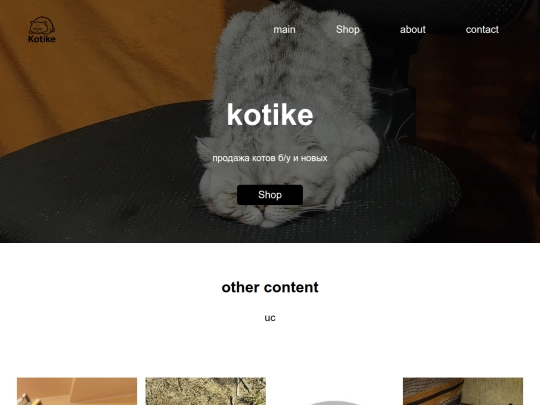 aboutus screenshot
