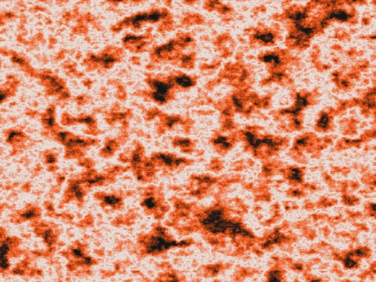 void screenshot