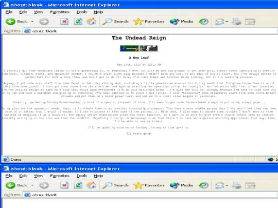 blog screenshot