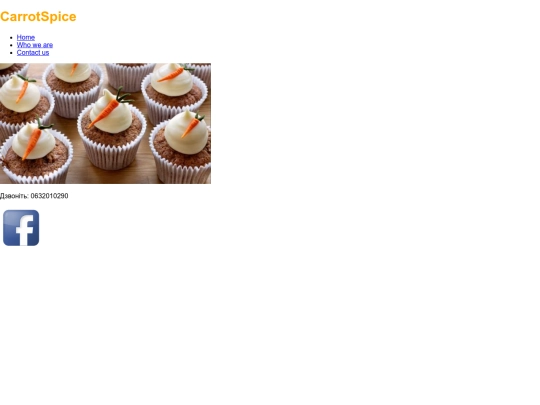 CarrotSpice PROJECT/contact screenshot