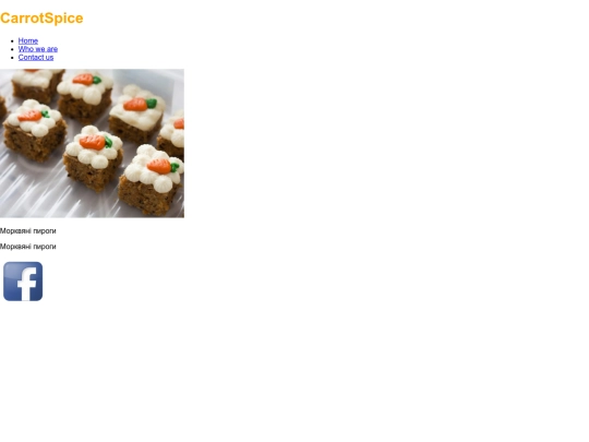 CarrotSpice PROJECT/whoweare screenshot