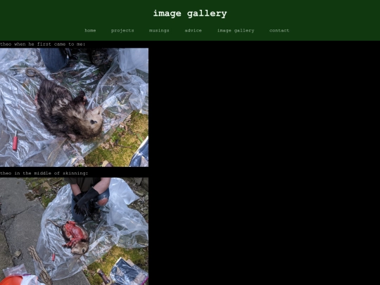 image-gallery-real screenshot