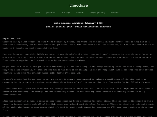 projects/theo screenshot