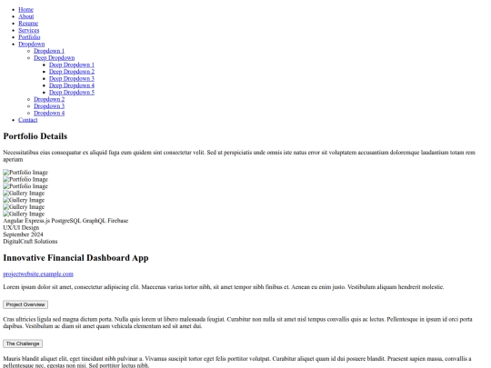 portfolio-details screenshot