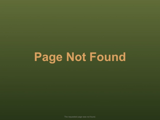 pages/lead screenshot