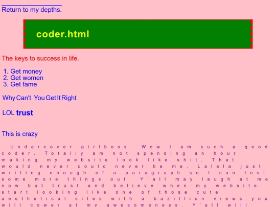 coder screenshot