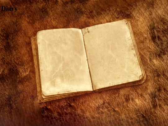 Diary screenshot