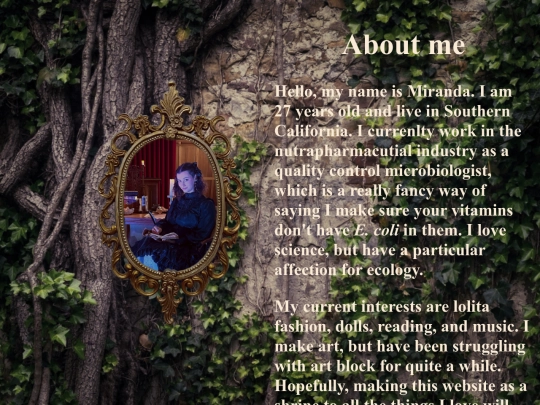 aboutme screenshot